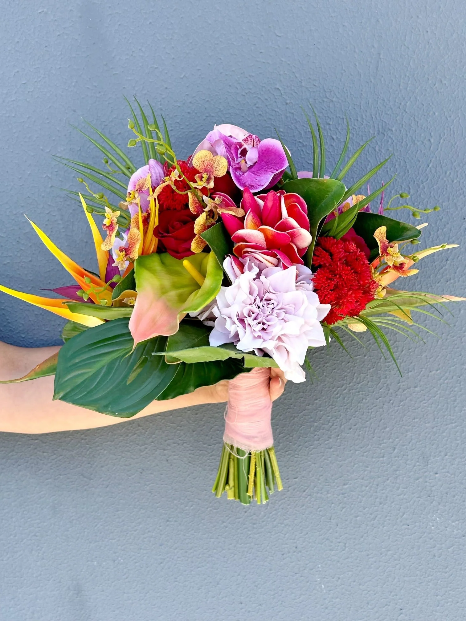 Deluxe Package - Image 10